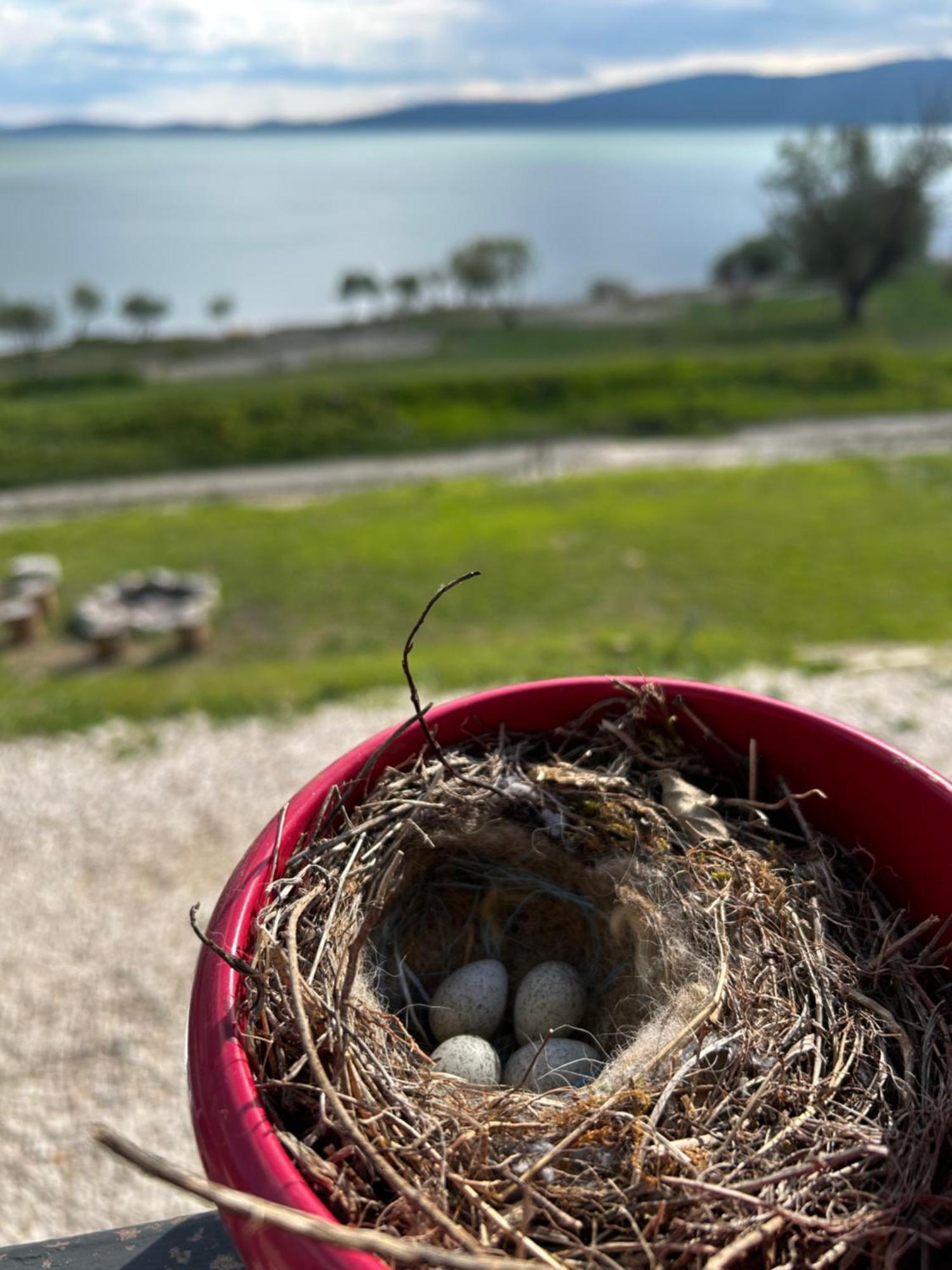 Lake House Beliz Livno Dış mekan fotoğraf
